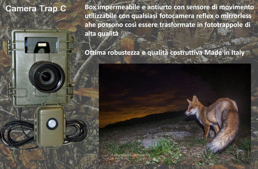 fototrappola alta qualità con reflex