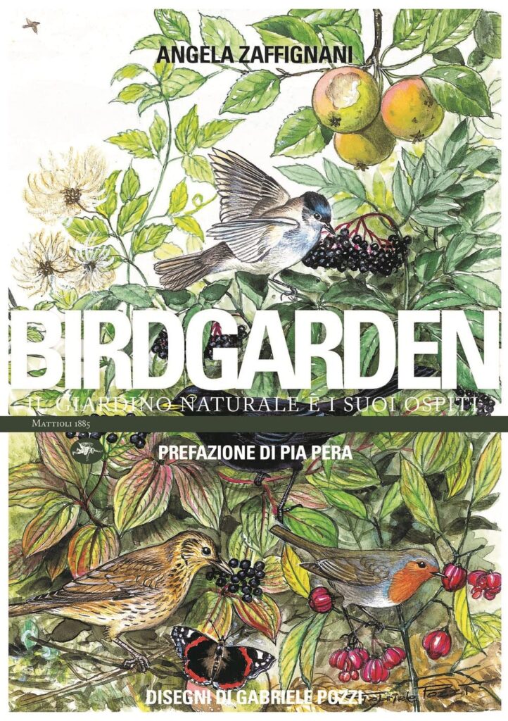 Birdgarden. Il giardino naturale e i suoi ospiti. Angela Zaffignani. Libro
