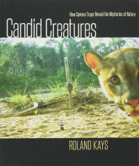 Candid Creatures How Camera Traps Reveal the Mysteries of Nature libro