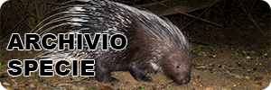 Archivio specie biodiversità italiana banner