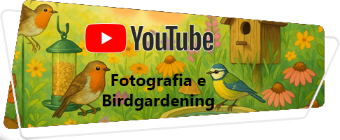 Canale youtube video Fotografia e Birdgardening banner