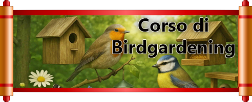 Corso video di Birdgardening banner