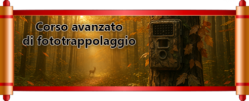 banner videocorso avanzato di fototrappolaggio