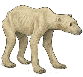 conservation fotography orso bianco icona 2 png