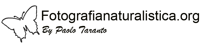 logo fotografia naturalistica nero piccolo