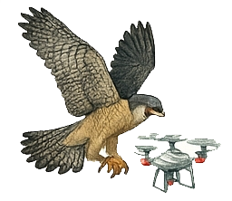 etica e leggi droni fauna selvatica parchi icona png