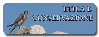 Sezione etica e aspetti legali banner