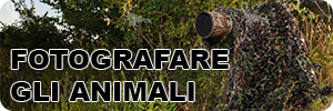 Sezione fotografia alla fauna selvatica banner