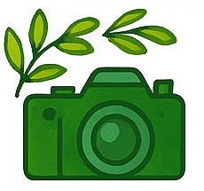 fototrappolaggio in alta qualità fotografica reflex-trap icona png