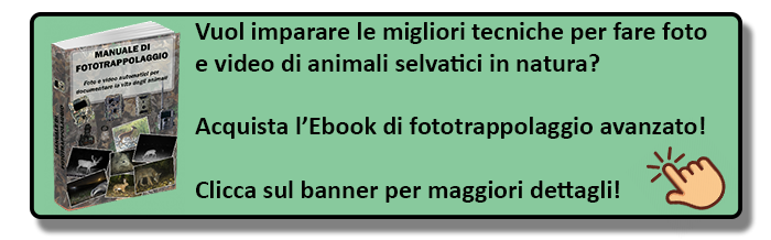 Manuale avanzato di fototrappolaggio