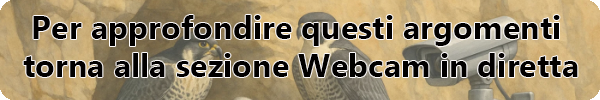 banner lungo torna sezione webcam