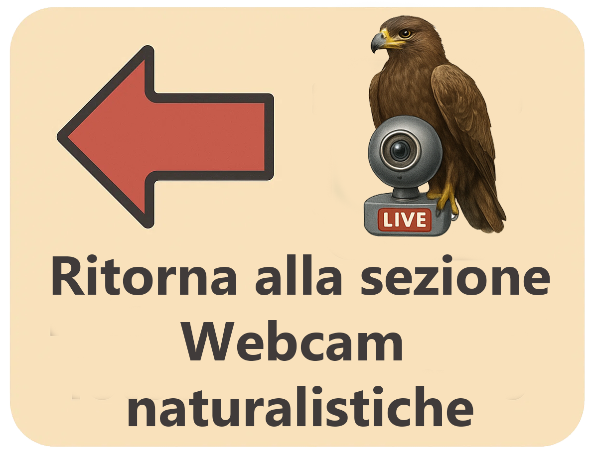 banner_ritorna_sezione_webcam_naturalistiche