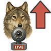 icona torna su 100x100 sezione webcam