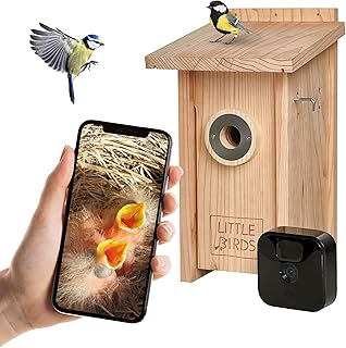 Nidi artificiali smart con telecamera