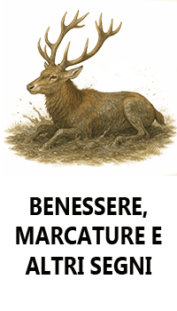 Benessere personale marcature etc