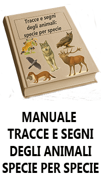 Manuale avanzato specie per specie tracce e segni animali