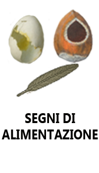 Segni di alimentazione