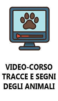 Videocorso online tracce e segni animali