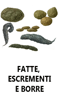 fatte escrementi borre
