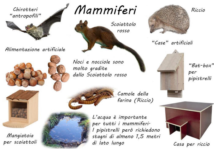 mammiferi nel birdgarden