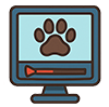 video-corso tracce animali