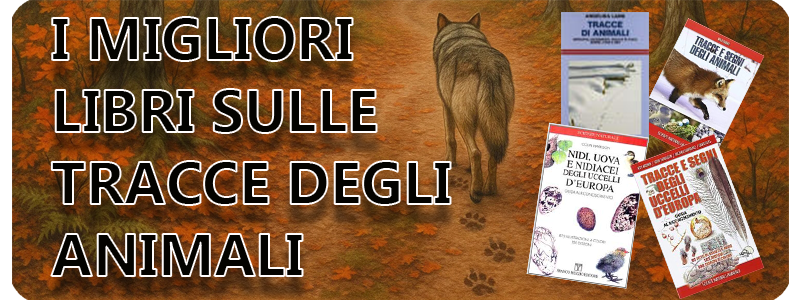Banner i migliori libri sulle tracce degli animali