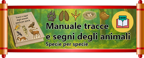 banner manuale di tracce animali specie